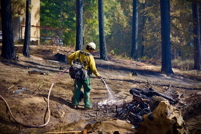 A firefighter extinguishes hot spots in a forest.